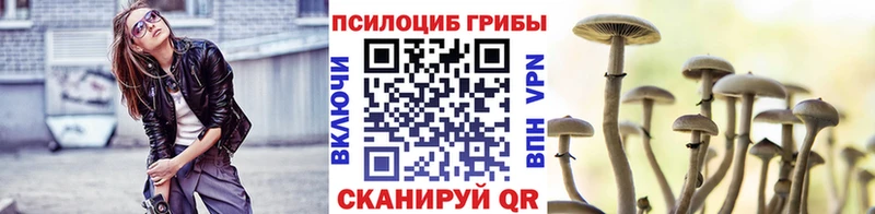дарнет шоп  Екатеринбург  Галлюциногенные грибы Cubensis 